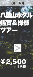 八重山ホタル鑑賞&撮影ツアー
