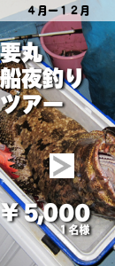 要丸 船夜釣りツアー
